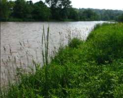 The park is located alongside River Humber so you can enjoy the beautiful look of the river during your trip to the park. You can reach the river shor